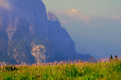 Scenic view of field and mountains against sky