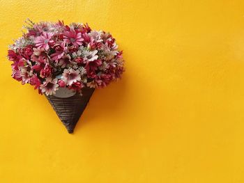 Close-up of pink flowering plant against yellow wall