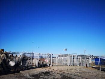 Seagulls flying by fence against clear blue sky