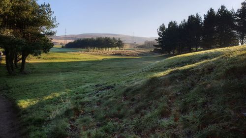 Scenic view of landscape against clear sky