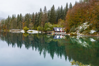 Scenic view of lake by trees during autumn