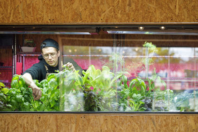 Chef cutting vegetables in restaurant herb garden