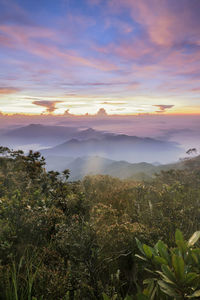 High angle view of mountain against cloudy sky