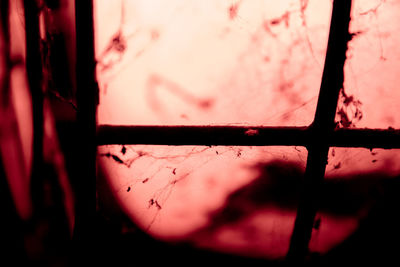 Full frame shot of rusty metal window