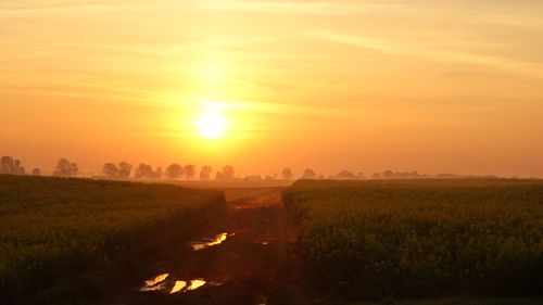 Scenic view of field against sky during sunset