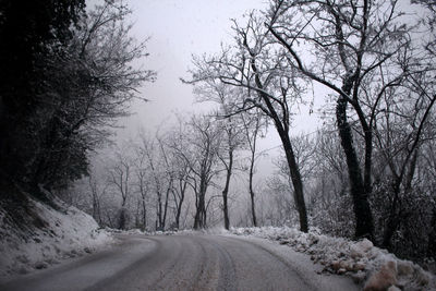 Snow covered road amidst trees against sky