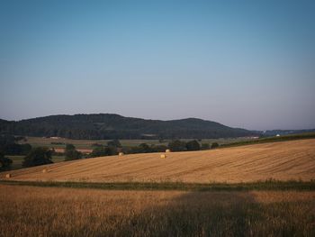 Scenic view of field against clear sky