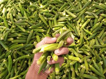 Hand holding vegetables at market