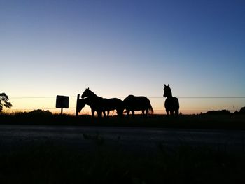 Silhouette horses on field against clear sky