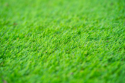 Full frame shot of soccer field