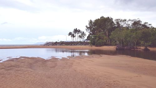 Scenic view of palm trees on beach against sky