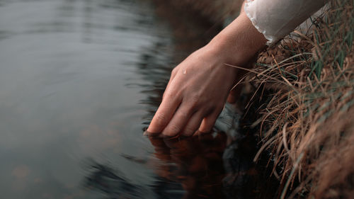 High angle view of hand holding plant in water