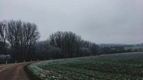 Road amidst trees on field against sky