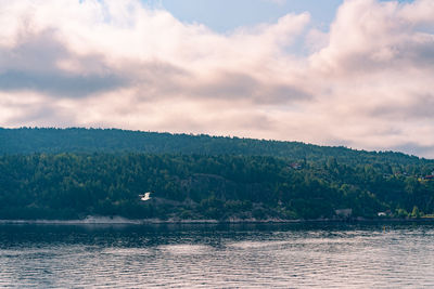 View of birds in lake against cloudy sky