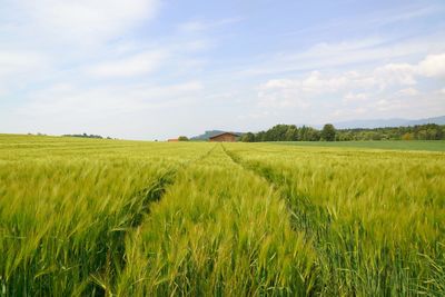 Scenic view of field against cloudy sky