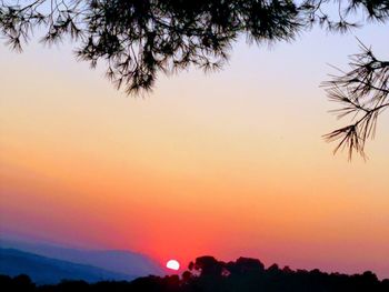 Silhouette trees against sky during sunset