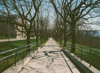 View of footpath amidst trees