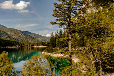 Scenic view of lake amidst trees in forest against sky