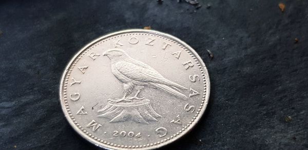 High angle view of coin