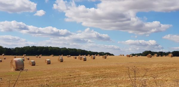 Hay bales on field against sky