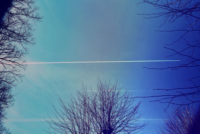 Low angle view of bare tree against blue sky