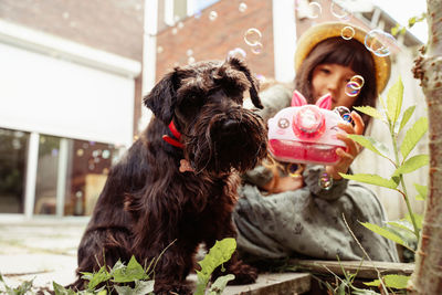 Portrait of a dog with girl