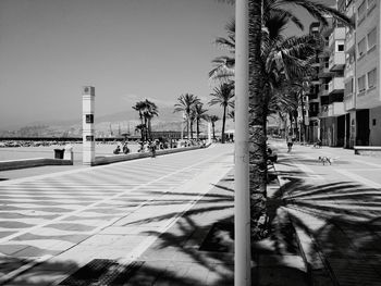 Palm trees on street in city against clear sky