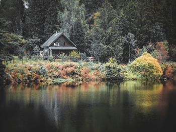 Scenic view of lake by trees in forest