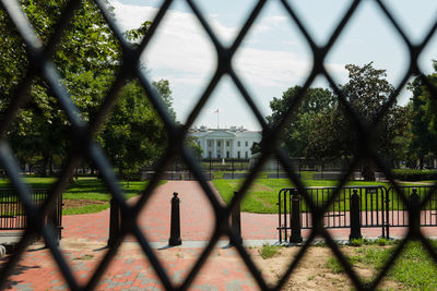 Trees seen through chainlink fence