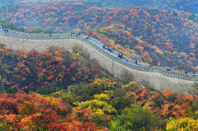 High angle view of trees during autumn