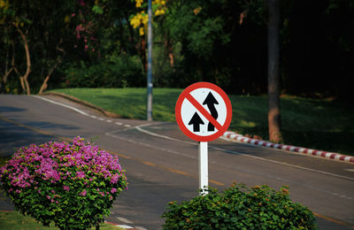 The overtaking prohibited sign on the road 