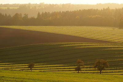 Scenic view of field against sky during sunset