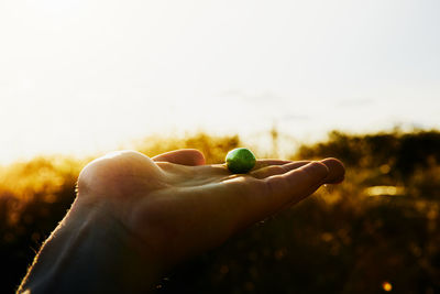 Close-up of hand holding olive against clear sky