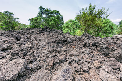 View of rocks on land against sky