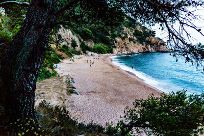 Scenic view of sea by trees against sky