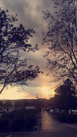 Trees against sky during sunset