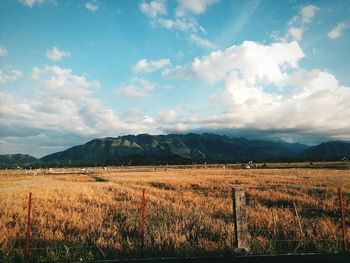 Scenic view of field against sky