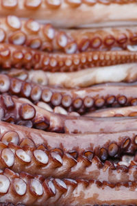 Close-up of bread