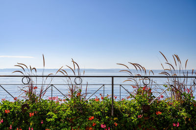 Scenic view of sea against clear blue sky