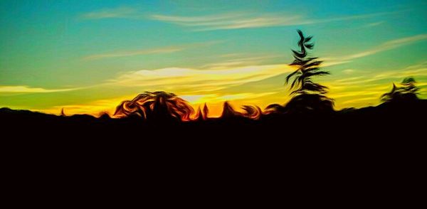 Silhouette of plants against sunset