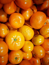 Full frame shot of oranges