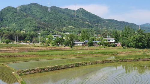 Scenic view of farm against sky