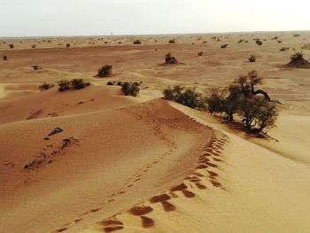 Scenic view of desert against clear sky