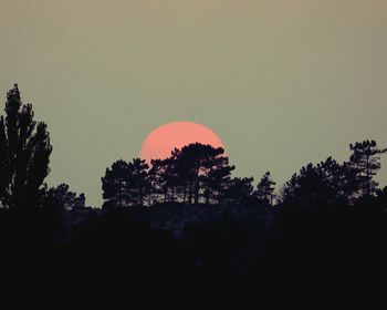 Scenic view of trees against sky at sunset