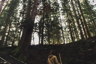 tree