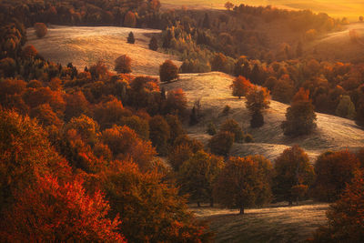 Sunset light over the autumn fields of harghita region, romania.