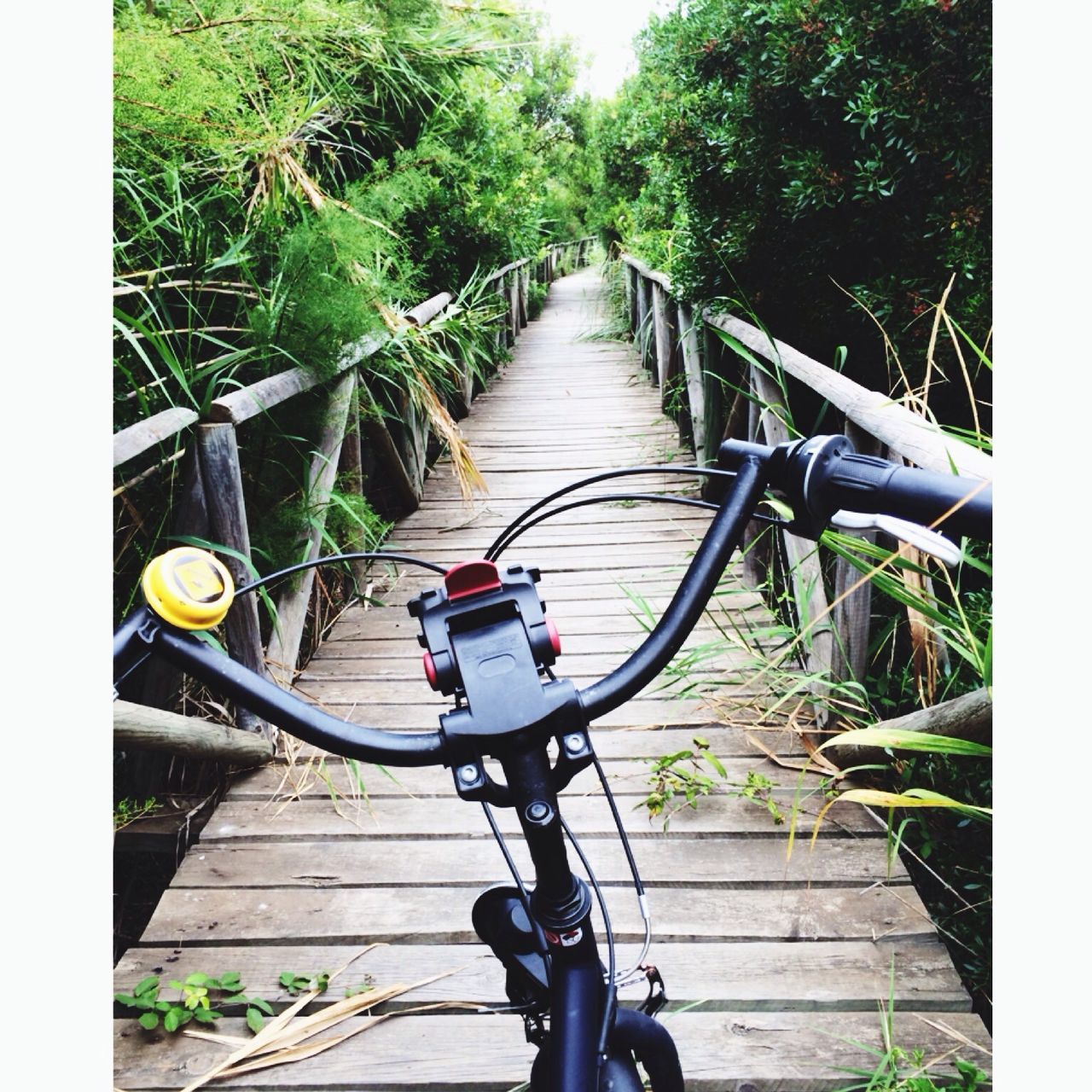 the way forward, transfer print, transportation, tree, railing, auto post production filter, diminishing perspective, bicycle, steps, footbridge, mode of transport, steps and staircases, vanishing point, sunlight, day, wood - material, staircase, outdoors