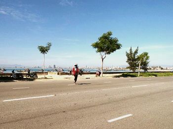 Road with trees in background