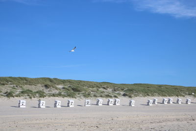 View of seagulls on beach