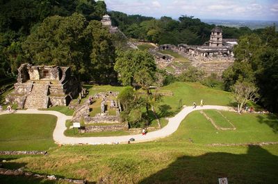 Aerial view of mayan ruins at palenque